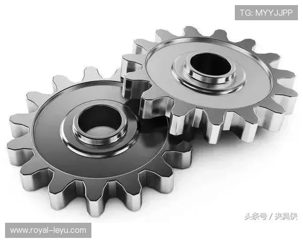 帕尔默与贝林厄姆未来核心定位的关键差异分析